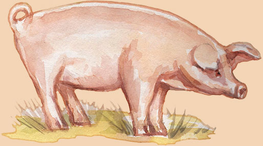 Produits La Ferme Peultier